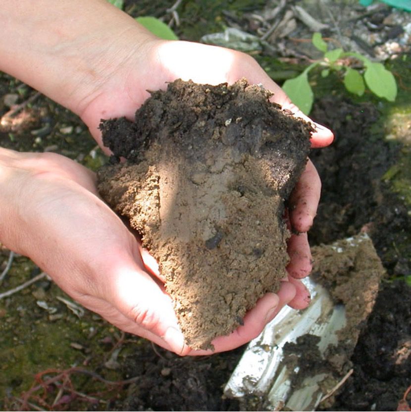 Soil-Carbon-Storage-2