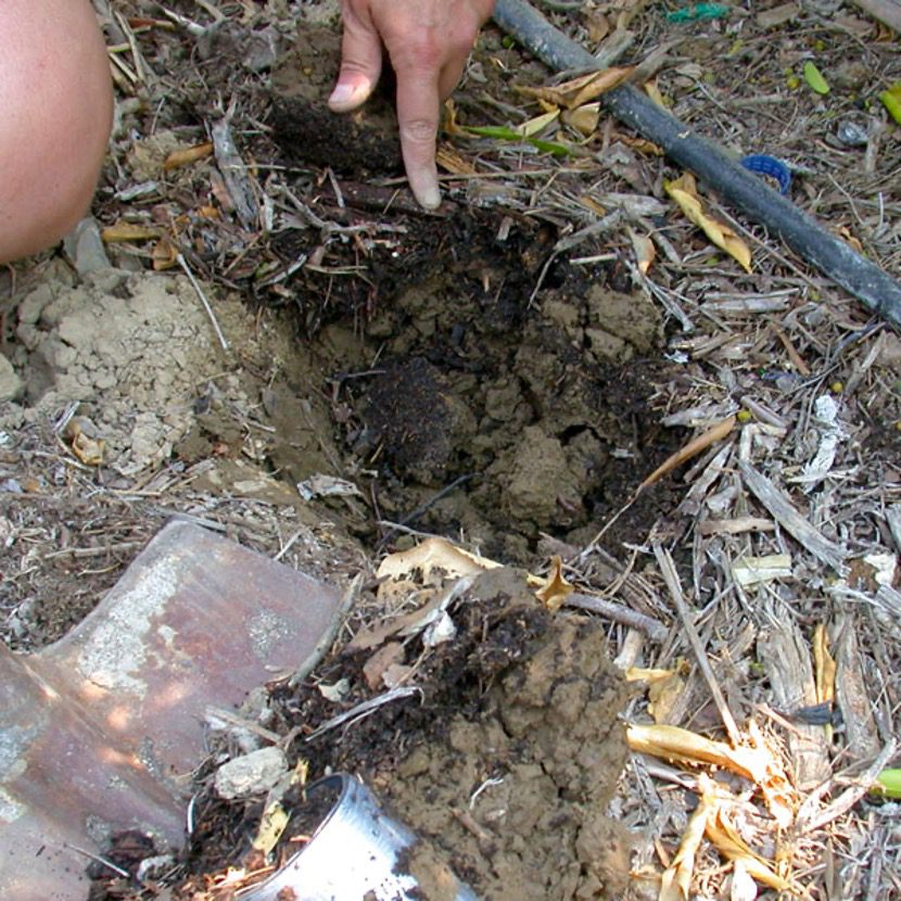 Soil-Carbon-Storage-3