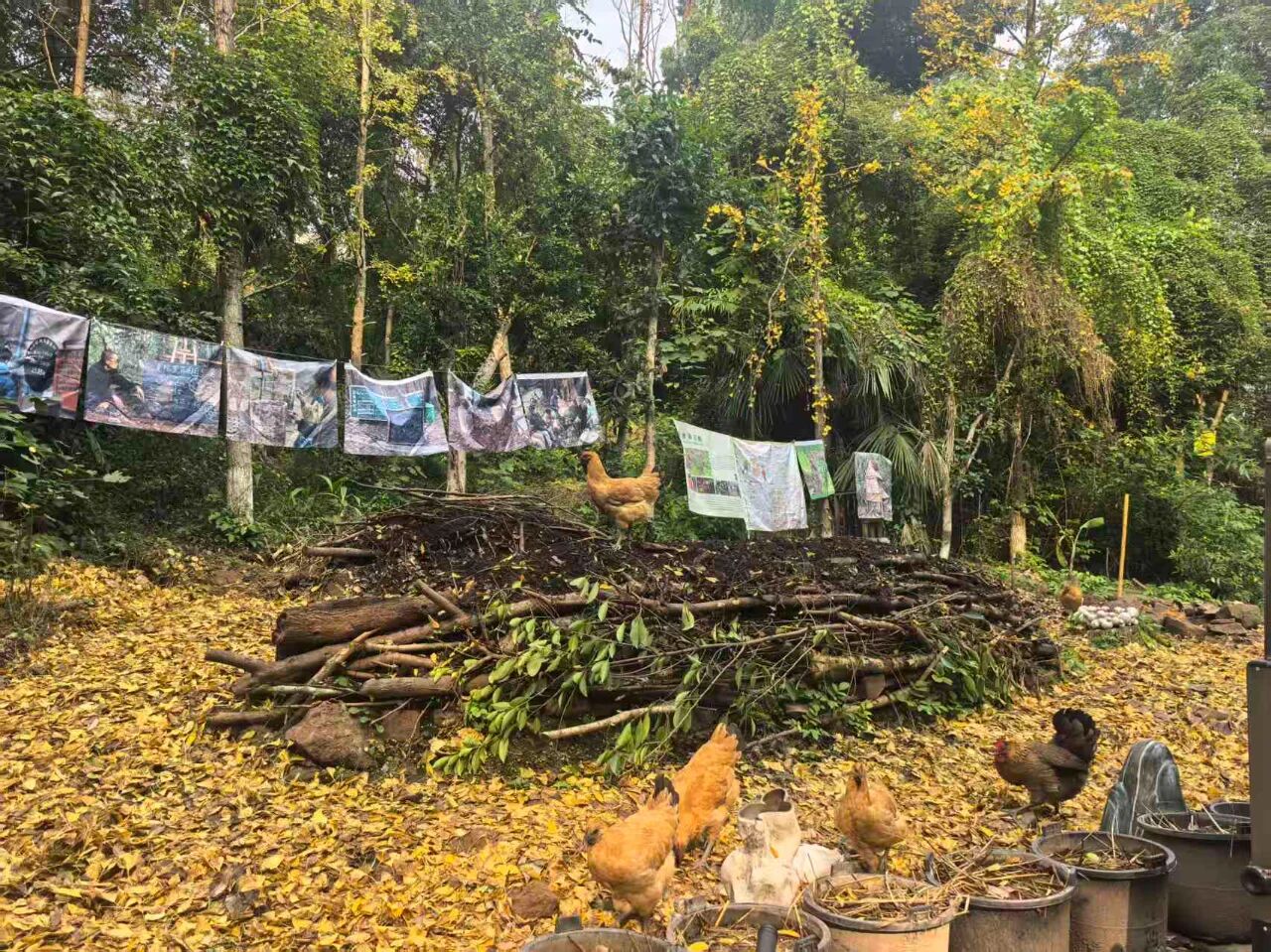 微信图片_2025-12-12_152831_625