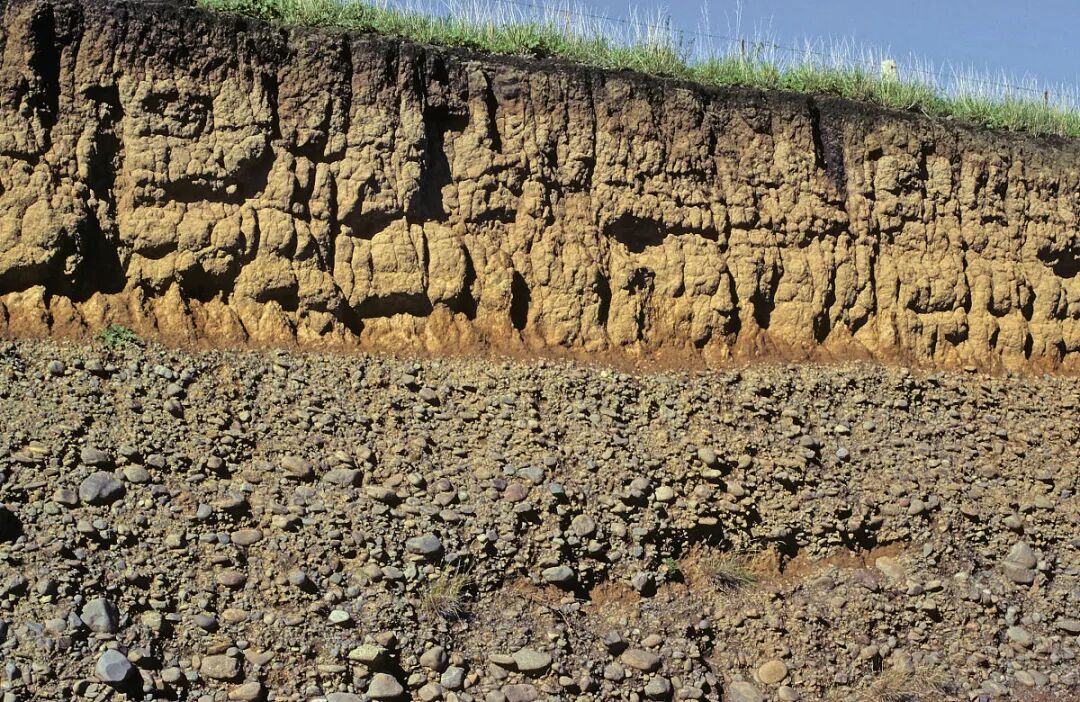 微信图片_2025-12-26_113638_677