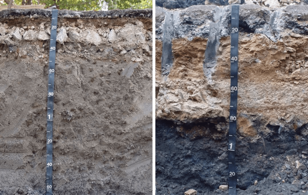 微信图片_2025-12-26_113648_655