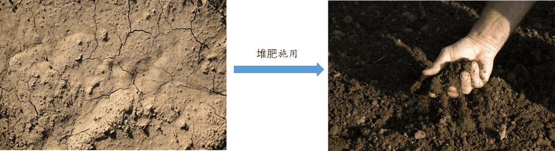 微信图片_2025-12-26_113652_846