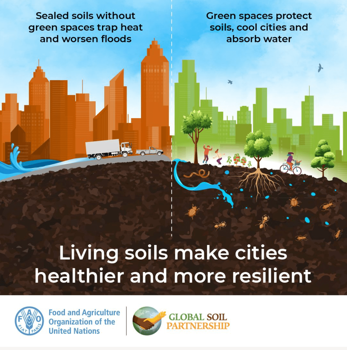 微信图片_2025-12-26_113655_910