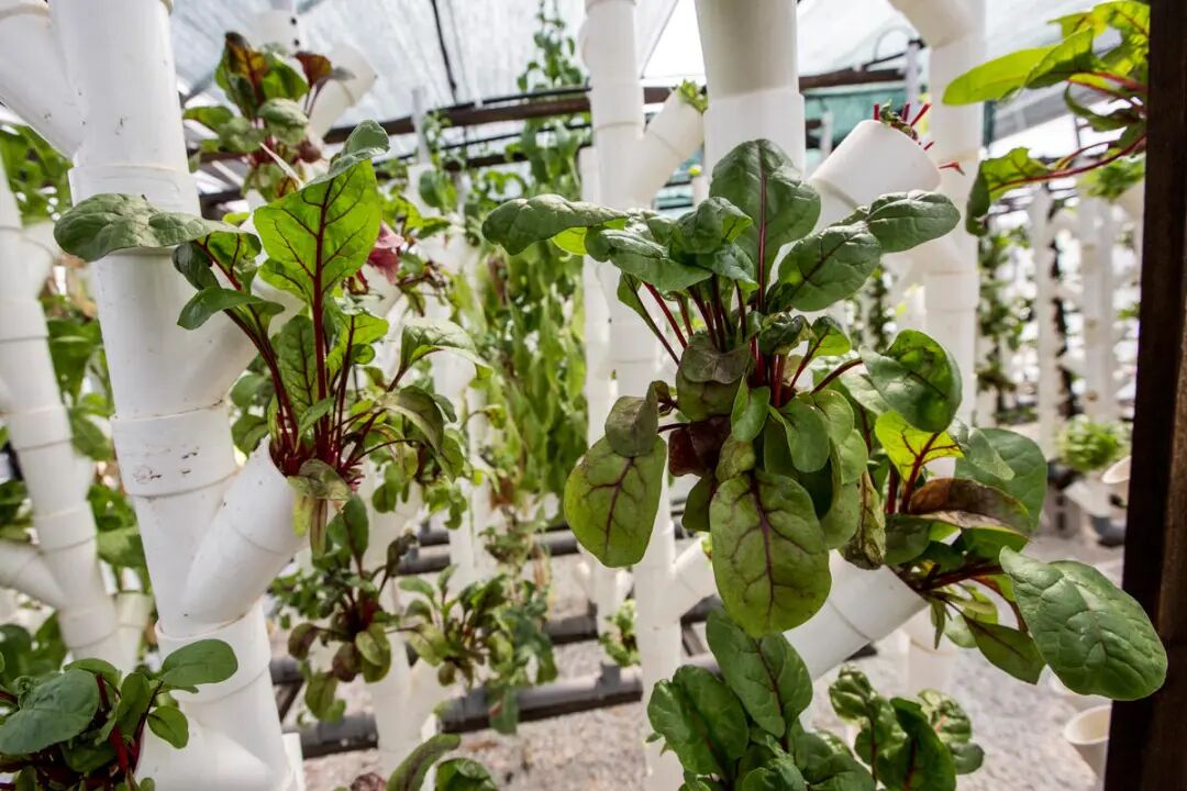 微信图片_2025-12-26_115143_718