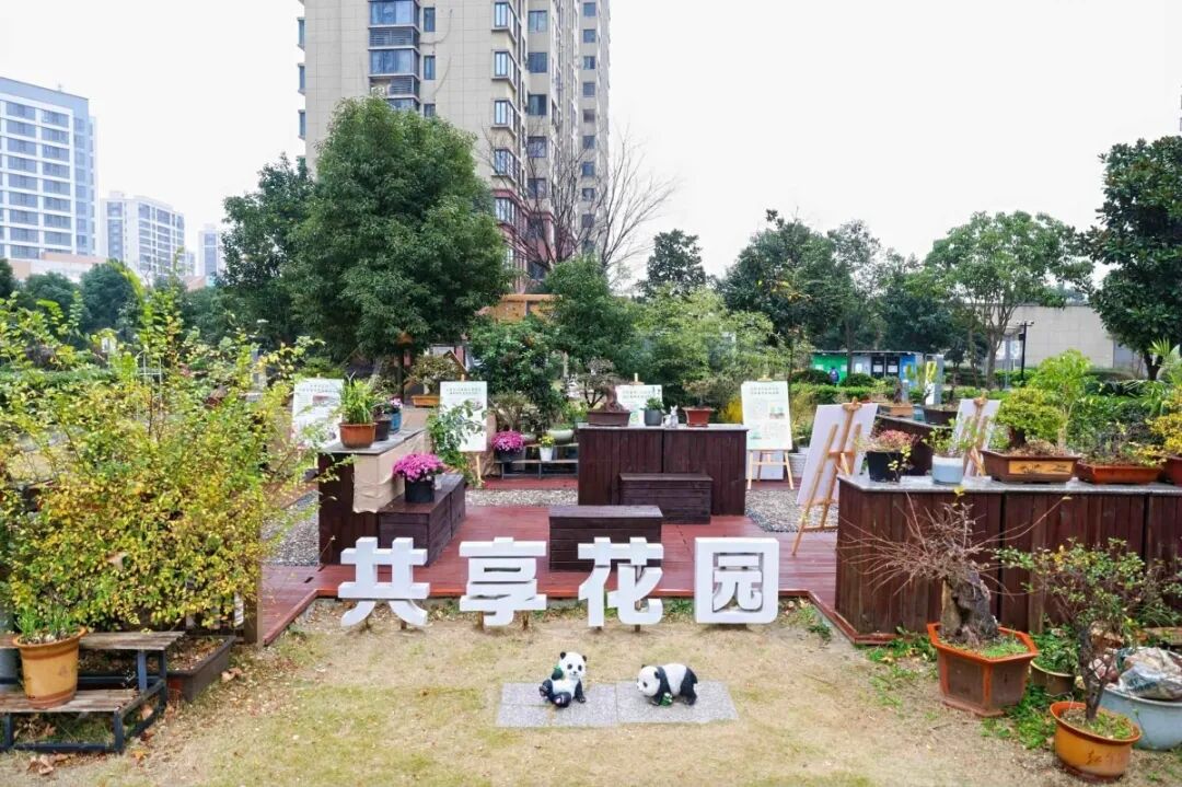 微信图片_2025-12-26_180317_017