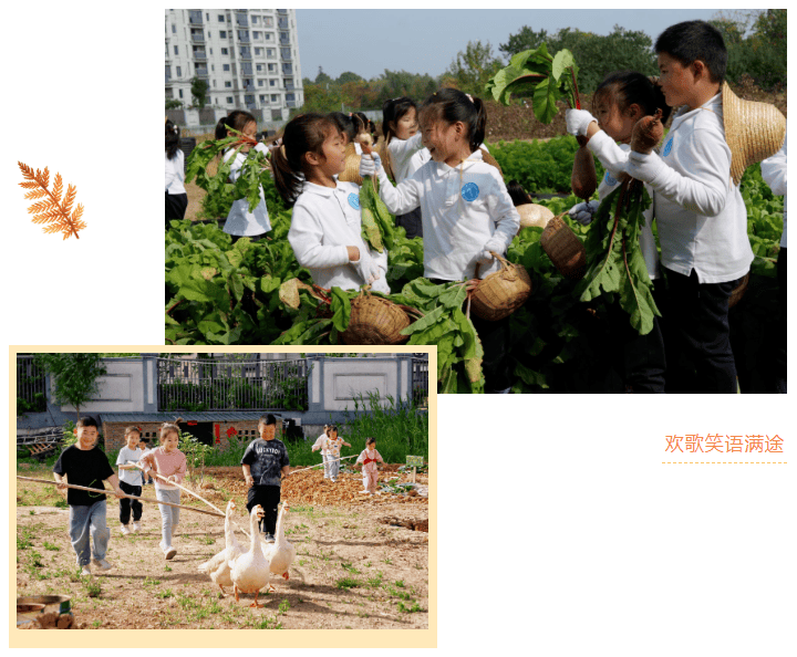 4a043f85-30e2-442e-aecb-be522aa903db