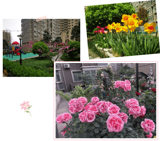 5754f987-d554-4100-8674-0eaf9da7434a