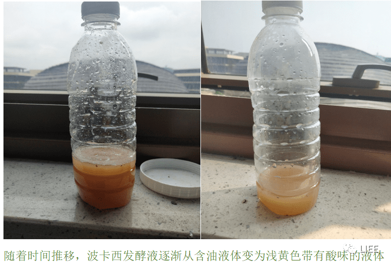 微信图片_2026-07-01_134123_956