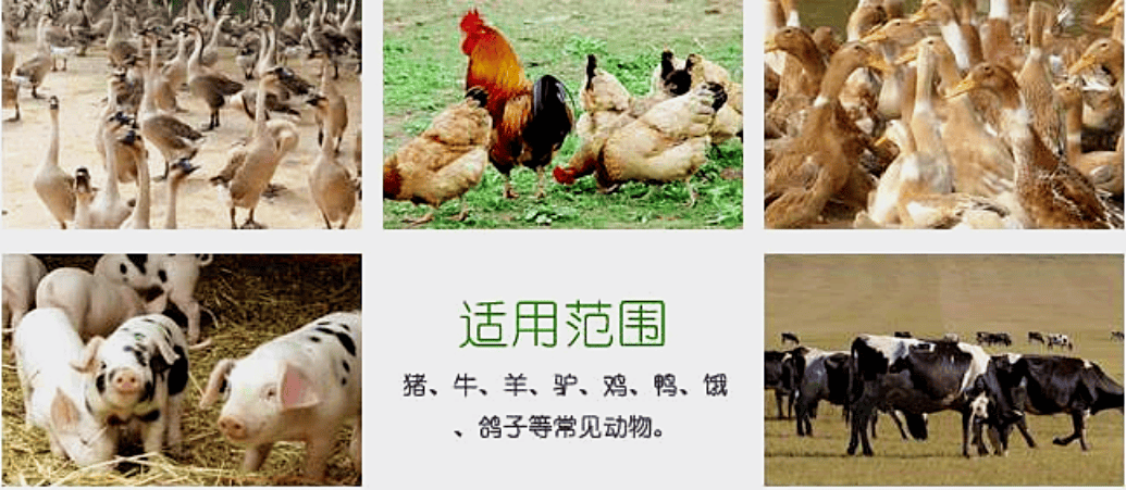 微信图片_2026-07-03_144816_579